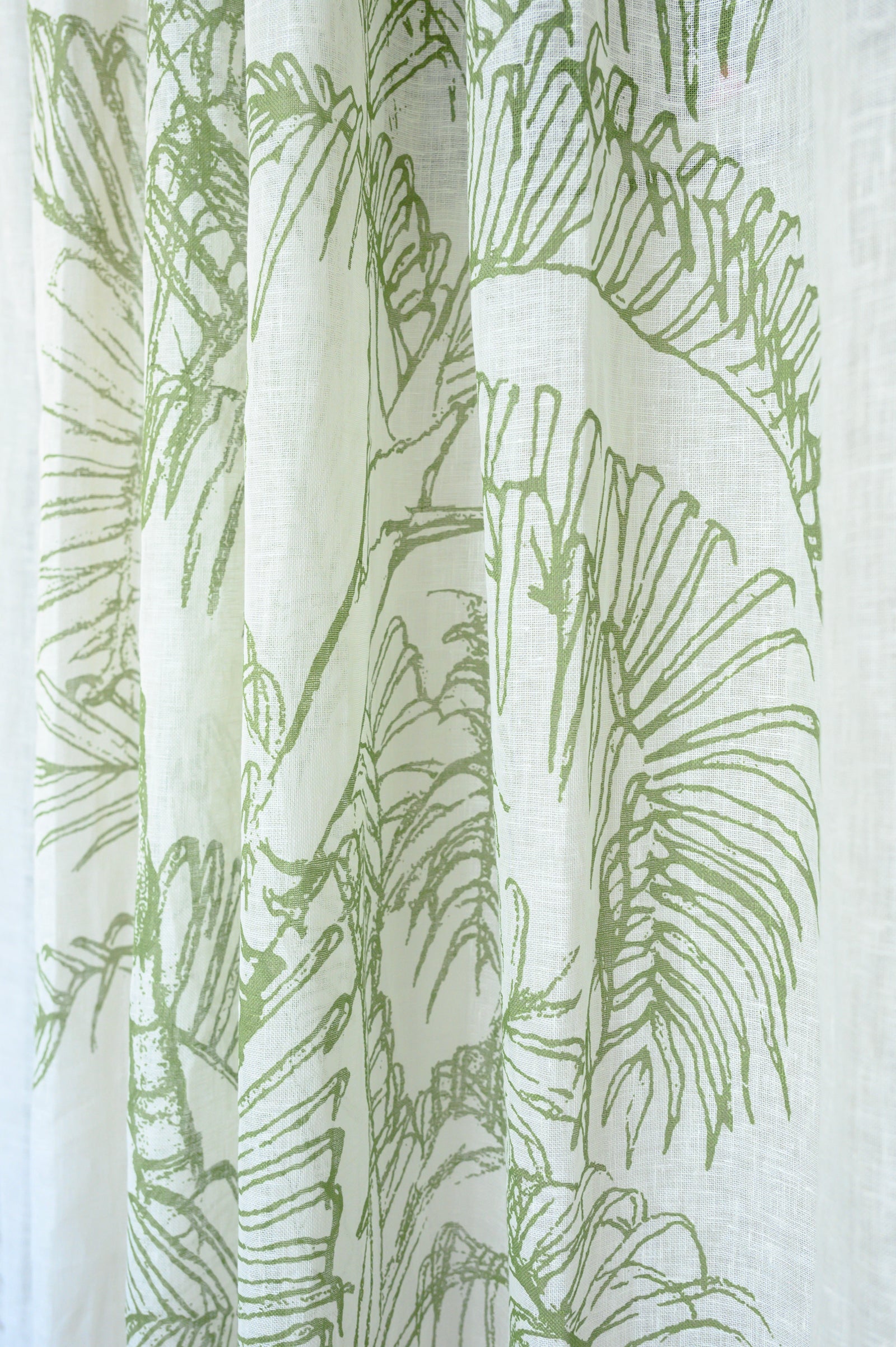 Areca Palm Print | Blinds & Drapery