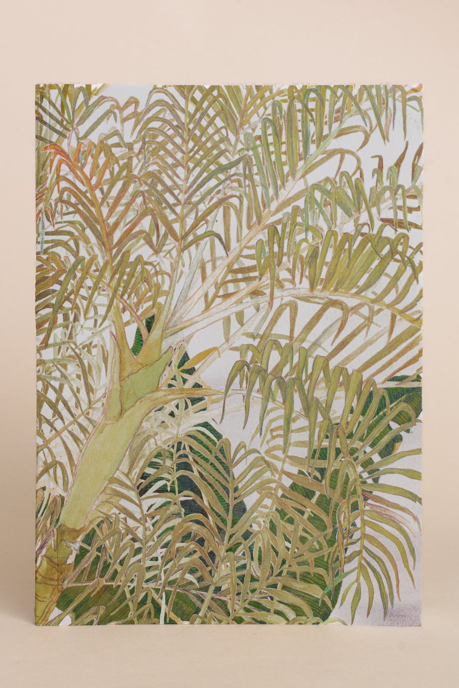 Areca Palm | Notebook